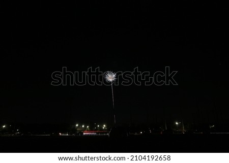 Toyota Oiden Winter Fireworks Festival