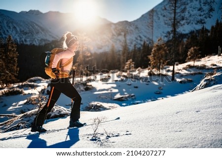 Mountaineer backcountry ski walking ski alpinist in the mountains. Ski touring in alpine landscape with snowy trees. Adventure winter sport. Royalty-Free Stock Photo #2104207277