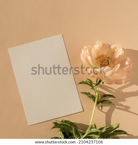 Aesthetic bohemian wedding invitation card template with copy space. Paper card, peony flower casting sunlight shadows on peach background