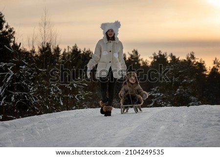 Mom takes the baby in a winter fur coat and hat on a sled on a snow-covered road.Mom and son in a rustic image.Winter walk through the forest at sunset.A girl in a white fur hat with ears 