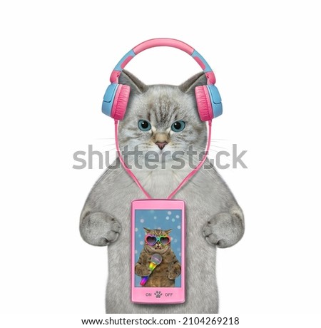 An ashen cat listens to music on a pink smartphone. White background. Isolated.