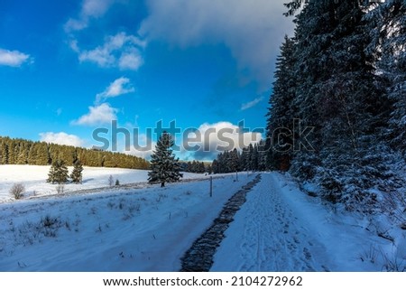 Winter Walk in the Winter Wonderland Thuringian Forest near Steinbach-Hallenberg- Germany