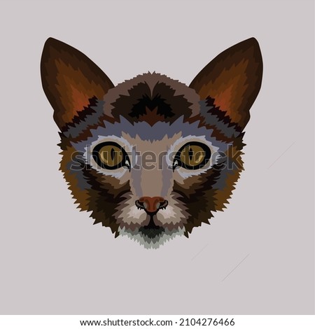 cute kitten animal vector illustration