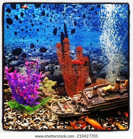 Fish tank with Fish - With Instagram effect