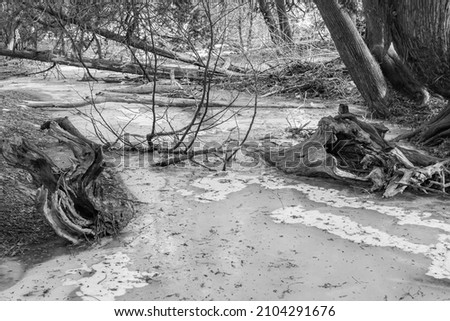 Monochrome picture of frozen creek in Bowmanville Ontario Canada in winter