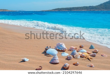 Sandy beach with many shells in the sand. Sunset with golden highlights. Royalty-Free Stock Photo #2104297646