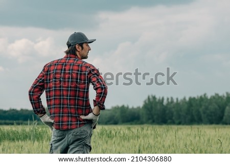 Worried wheat farmer agronomist standing in cultivated cereal crop agricultural field looking over the plantation full of weed. Rear view of male farm worker concerned over bad condition of crops
