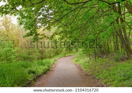 beautiful spring landscape, walking road in a park with trees on a warm spring day,selective focus