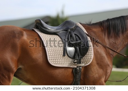 Close up of a sport horse saddle. Old quality leather saddle ready for show jumping  event. Equestrian sport background outdoors Royalty-Free Stock Photo #2104371308