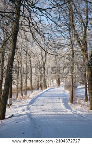 Winter landscape with rural snow- covereded road, trees on the roadside covered with fresh hoarfrost 