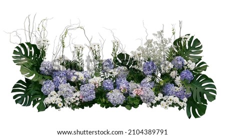 Blue Hydrangea and Chrysanthemum flowers with tropical green leaves Monstera and philodendron plant bush, floral arrangement nature wedding backdrop isolated on white background with clipping path. Royalty-Free Stock Photo #2104389791