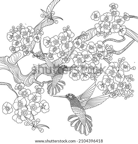 Art therapy coloring page. Birds and flowers hand drawn in vintage style . The art of linear engraving. Bird concept. Romantic concept.