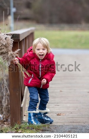 Young toddler child in the park on a winter day, holding dried flowers, enjoying fresh air daytime