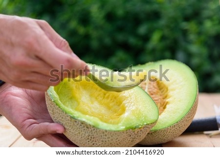 Lap the Fresh green melon on wood plate by spoon Royalty-Free Stock Photo #2104416920