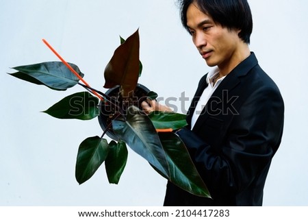 The man hold the  Philodendron Majesty in the pot   
