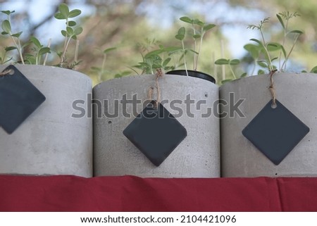 A cement plant pots on a red table for inside contained a young plant with a black tag attached for soft focus and blurred background.Environmental and natural concept.