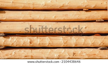 Cedar logs in sawmill for export or building wooden house.