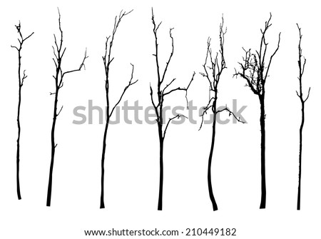 vector black silhouette of a bare tree Royalty-Free Stock Photo #210449182