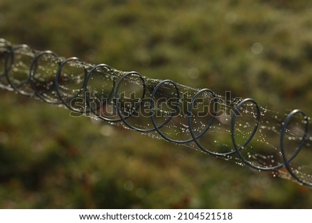 Metal spring with cobwebs and dew drops.