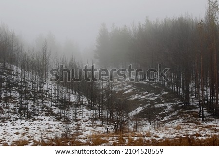 Photos forests and mountains in fog