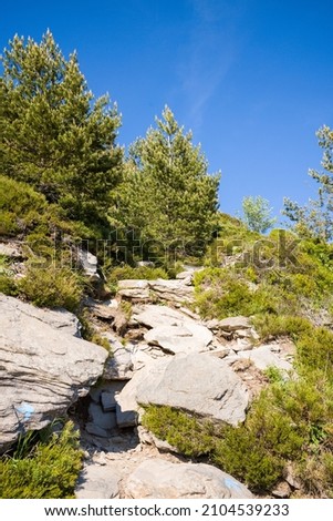 The rocks on the Mont de Gerbier de Jonc in Europe, France, Ardeche, in summer, on a sunny day.
