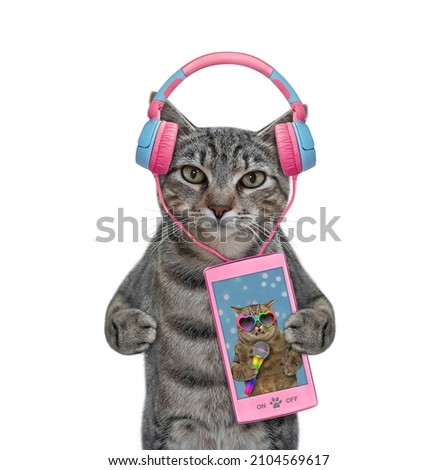A gray cat listens to music on a pink smartphone. White background. Isolated.