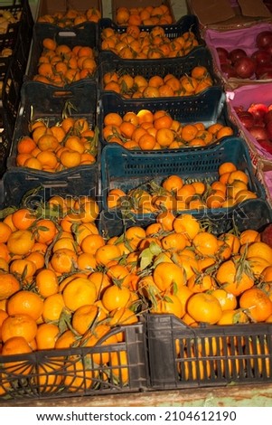 Showcase of a grocery store in Egypt. In the foreground are tangerines in boxes.