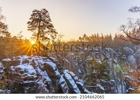 Sunrise in Prachovské skaly, which is a sandstone rock area, nature reserve and part of the Protected Landscape Area Bohemian Paradise.