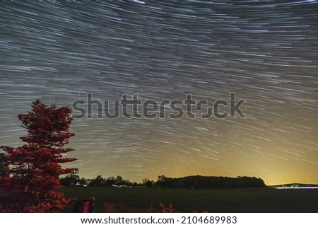 Beautiful star trail image of the rotational motion of earth with fir tree and meadow