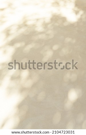 Beautiful clean and plain white concrete wall with cement texture with soft shadow and shade of tree and bokeh leaves in afternoon sunlight. Artistic abstract white background and exterior design Royalty-Free Stock Photo #2104723031