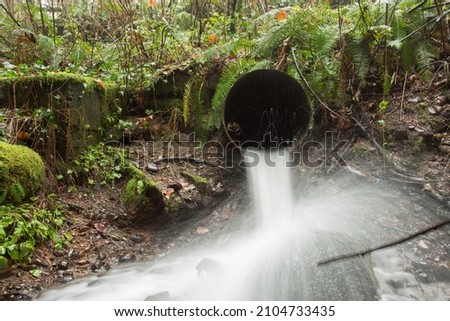 Photograph of water moving out of a storm drain at Wildwood Park in Puyallup, WA.