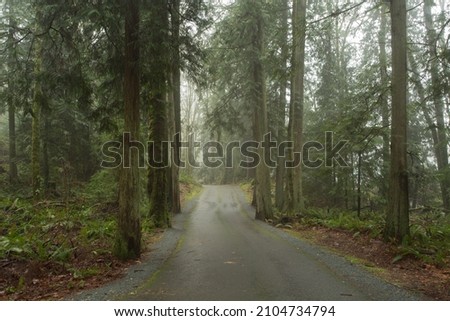Photograph of a trail leading through the forest at Wildwood Park in Puyallup, WA.
