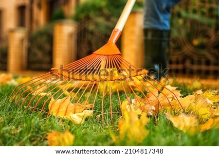 Man gathering autumn leaves outdoors, closeup