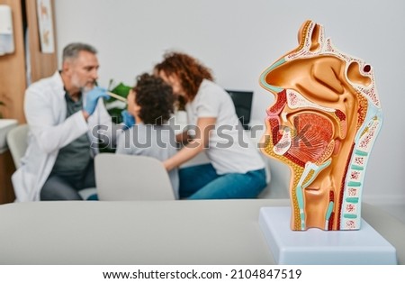 Diagnosis and treatment of ENT diseases. Nasal and oral cavity anatomical model on a table over background doctor doing throat exam for patient Royalty-Free Stock Photo #2104847519