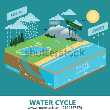 This picture is about the mechanism of water circulation in an environment. pictures are very suitable for learning