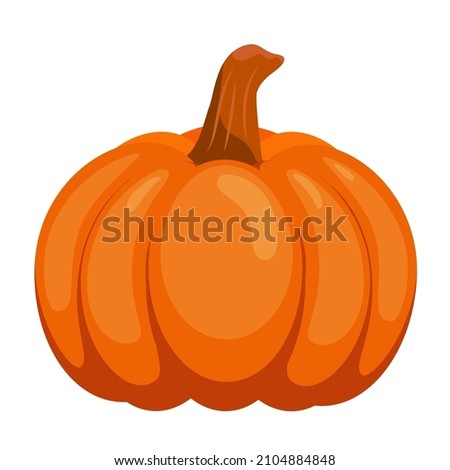 Pumpkin vector icon isolated on white background. Autumn Halloween or Thanksgiving pumpkin symbol. Cartoon colorfull illustration in flat style.