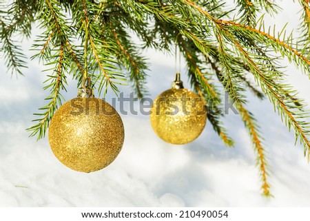 Two golden Christmas balls on green spruce branch on white snow. The background is blurred