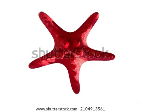 Big red starfish on a white background. Isolated on a white background.