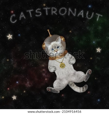 An ashen cat astronaut in a spacesuit floats in outer space among the stars. Catstronaut.