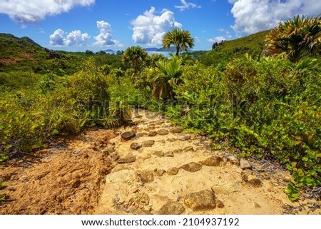 hikink in the jungle on curieuse island on the seychelles Royalty-Free Stock Photo #2104937192