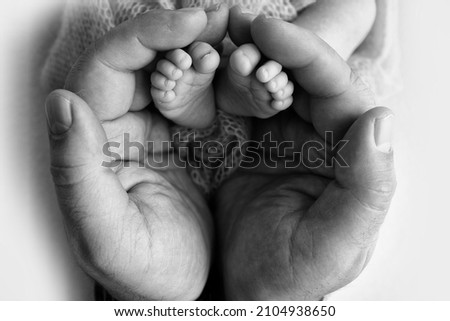 The palms of the father, the mother are holding the foot of the newborn baby. Feet of the newborn on the palms of the parents. Studio photography of a child's toes, heels and feet. Black white.