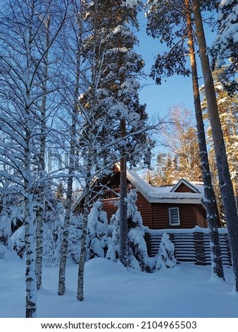 A two-story wooden house in the snow behind a fence among snow-covered firs and pines in a village on a clear, frosty winter day. Leningrad region.