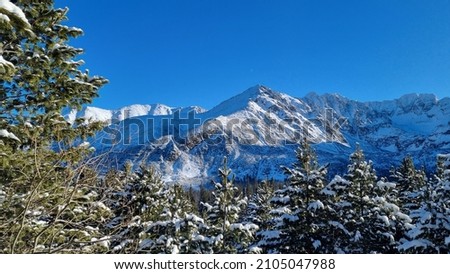 View of Tatra Mountains in winter time