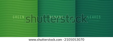 Set of green banana leaf texture minimal background. Tropical leaf Thai fruit design element. Green wave pattern banner design. Can use for cover template, poster, banner web, flyer. Vector EPS10