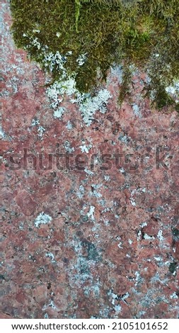 Photo of the texture of red stone and green moss on it