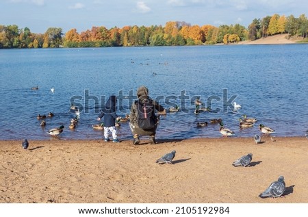 A man with a small child feeds ducks on a lake on an autumn day