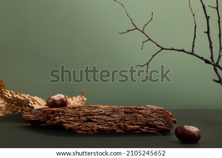 Natural background podium for cosmetic products created from wood, bark and paper on green background.Creative modern still life