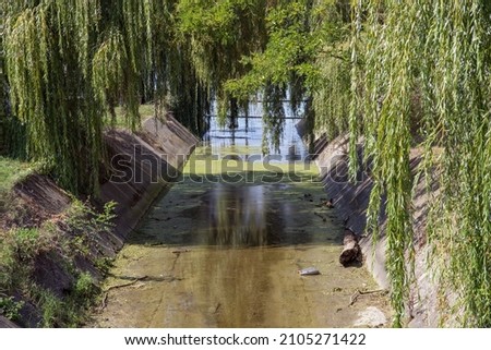 Dried canal surrounded by trees, mourning willow, with little water at the bottom during the summer drought.