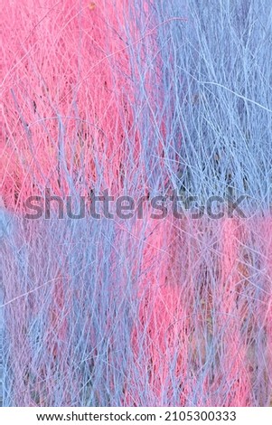 Abstract purple and pink background Vertical dry tree romantic backdrop for Valentine's Day, Women's Day, holiday or event.