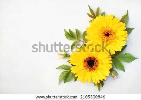 Summer or autumn blossoming chrysanthemum and pot marigold (calendula) flowers orange background, bright festive floral card